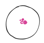 Look for a rash and or crusting of the nipple and surrounding areas