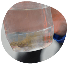 Real-time water quality monitoring