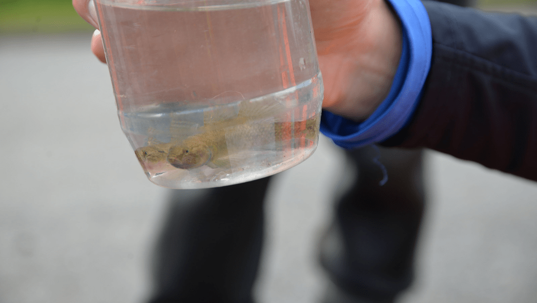 Real time water quality monitoring improves accuracy