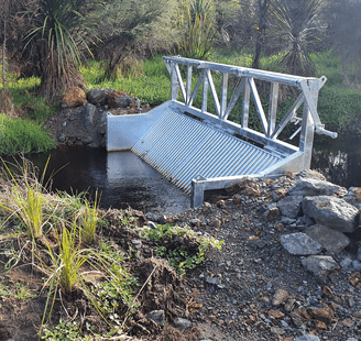 Pest fish management options