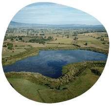 Partners pool resources to secure funding for Manga-o-tama project