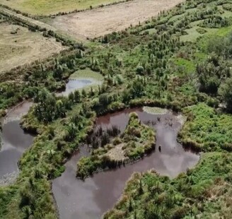 Living Water: Department of Conservation and Fonterra