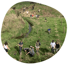 Kids into conservation in mass planting exercise