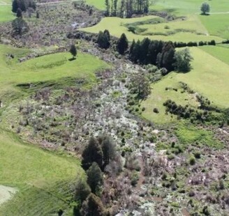 Photo Credit: Mangaotama Stream and Wetland Restoration Trust