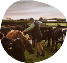 Support - Mangaotama Objective