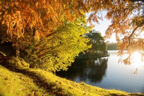 Morningstar NZ Economic Commentary March 2024