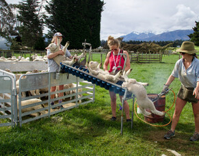 Unlocking High Performance: The Power of People360 Assessments and Team Engagement