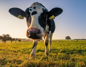 July 2021 - To Do List