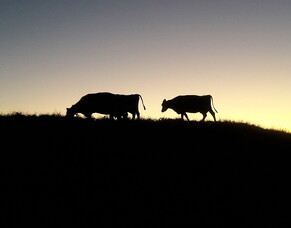 August 2021 - To Do List