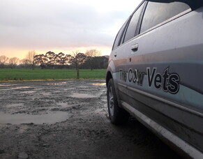 September 2021 - To Do List