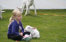 Lifestyle Block Corner