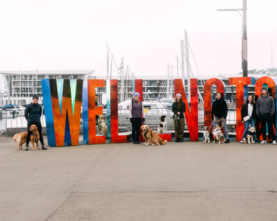 Group dog training in Wellington