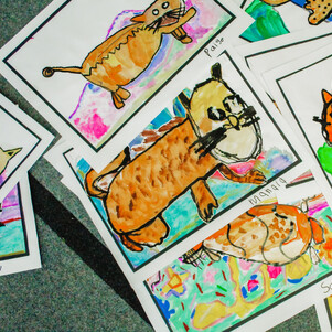 What's On at Riverview School in Kerikeri