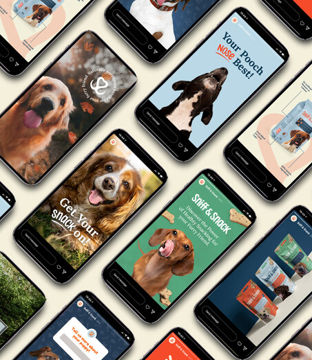 A collection of mobile phones showing instagram marketing content for the Sniff & Snack.