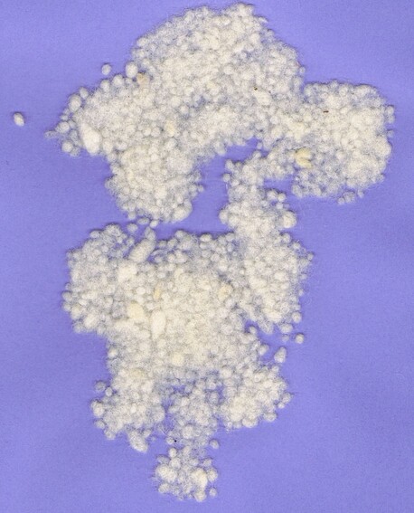 First cross Romney knops from Hawkes Bay