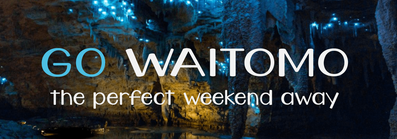waitomo caves tour from hamilton