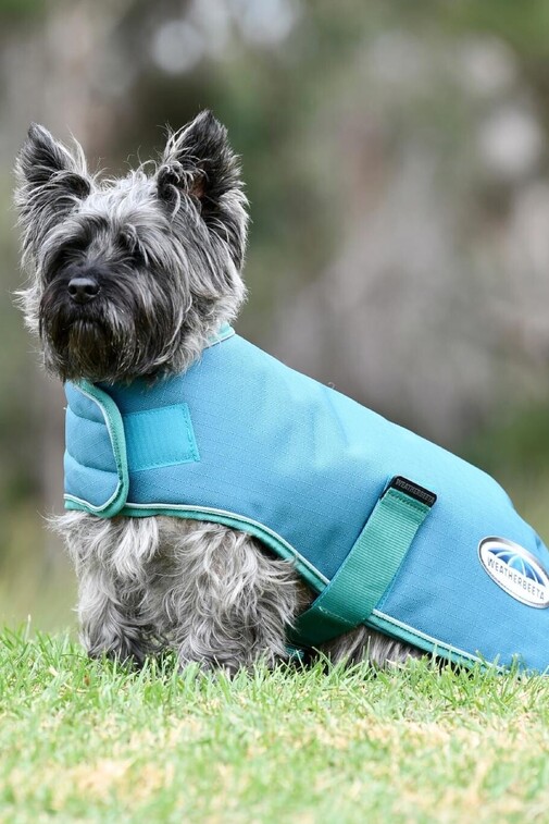 Dog Covers