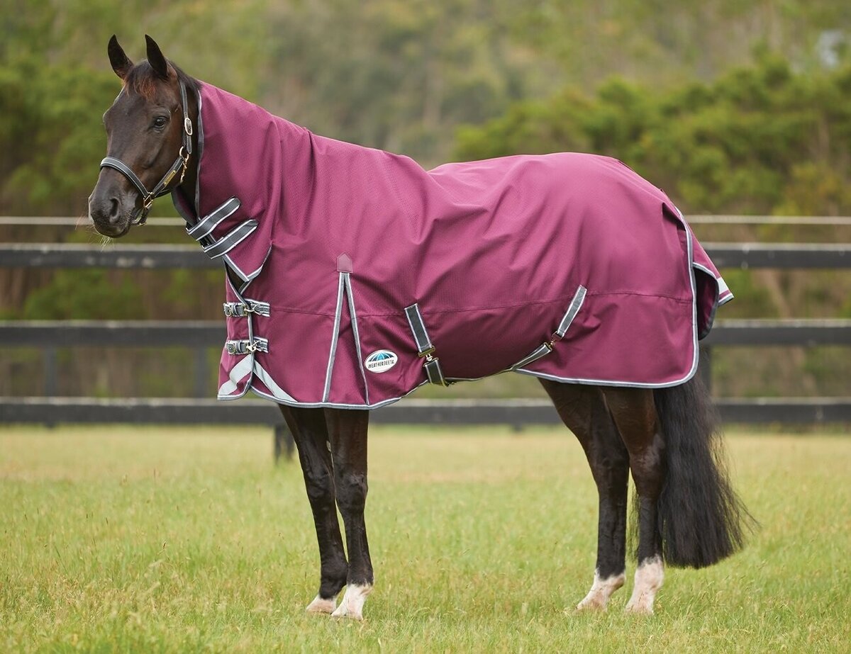 1 Tack Shop Online NZ Highfields Equestrian & Saddlery