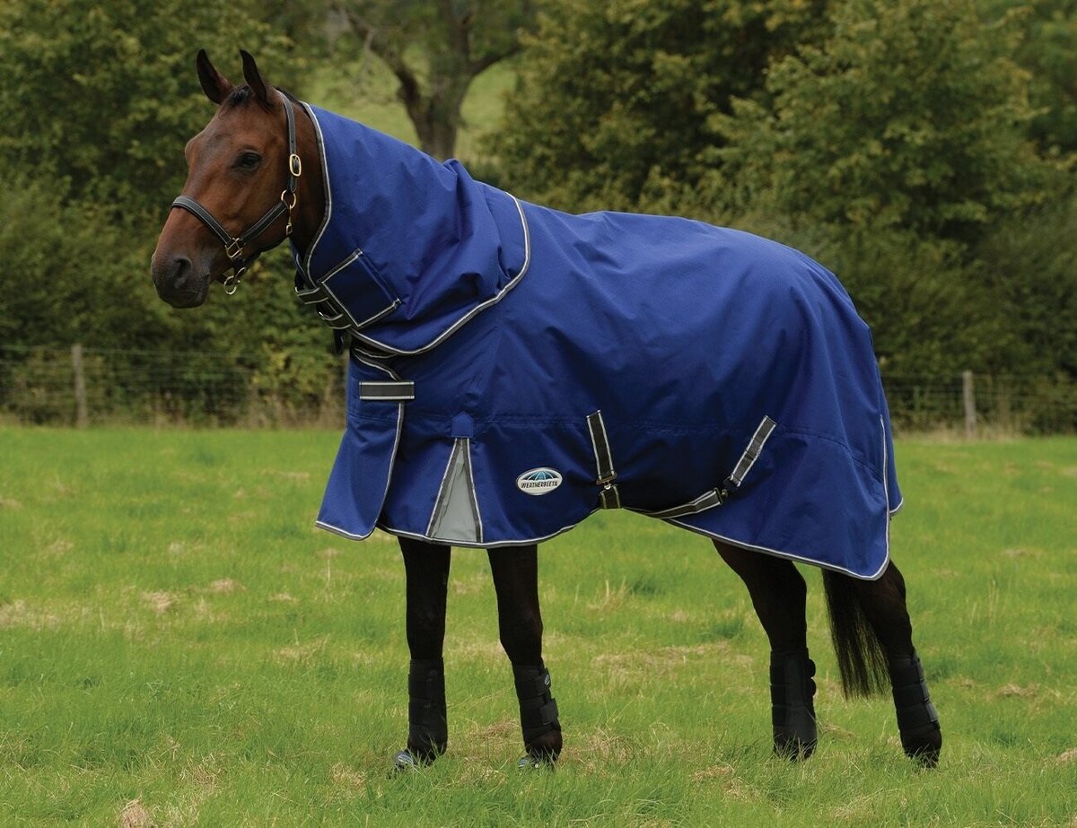 Best Horse Covers & Horse Rugs NZ Highfields Equestrian