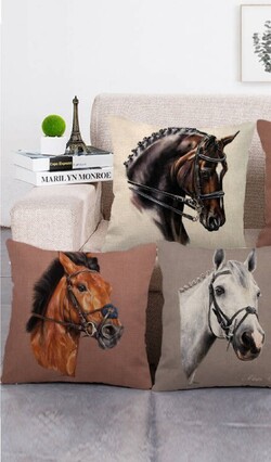 #1 Tack Shop Online NZ | Highfields Equestrian & Saddlery