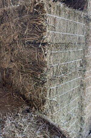 Hay and Baleage