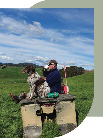 Read about Wholly Cow in Love Cambridge