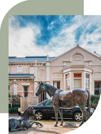 Cambridge Town Hall & Horse and Foal statue in Cambridge