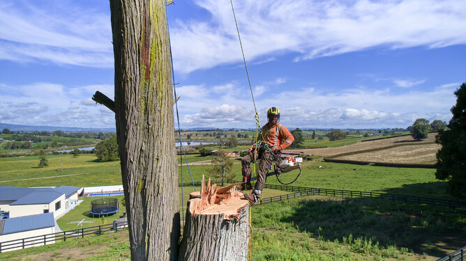 Find out about Waipā Networks in Love Cambridge