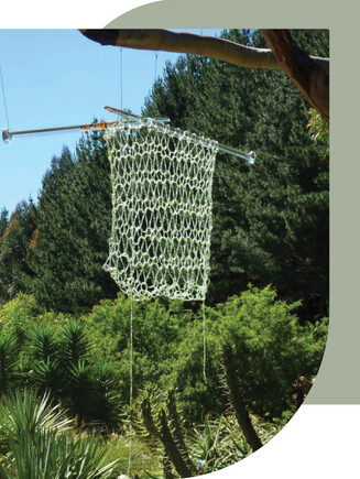 The Sculpture Park at Waitakaruru