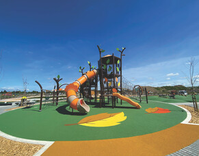 Things to do in Cambridge