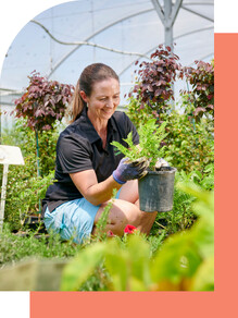 Amber Garden Centre in Cambridge