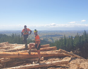A better way - Tom Payne - Rakau Harvesting