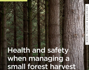 Health and safety when managing a small forest harvest