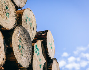 PRESS RELEASE - Forestry contractors at breaking point with an unsustainable model