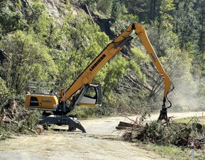 PRESS RELEASE - Forestry contractors chipping in to help with Cyclone clean-up