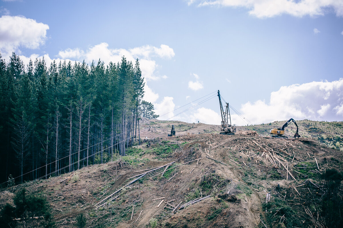 Safeguard Forest Industry Contractors Association (FICA)