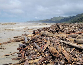 PRESS RELEASE - Forestry contractors want to be included in slash solutions