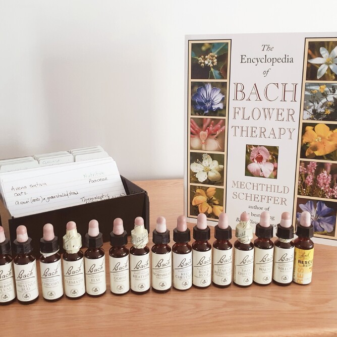 Going back to my first love in natural medicine