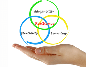 What is Business Financial Resilience and Why Does It Matter?