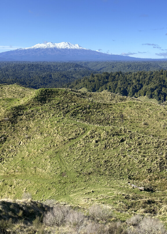 King Country New Zealand