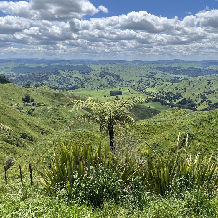 King Country Farm Land