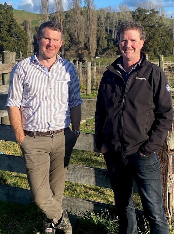 Guy Hoban & Thomas Williams Valuations