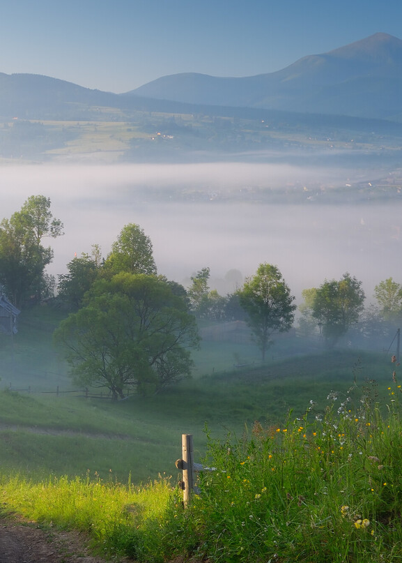 Foggy Farm Land NZ