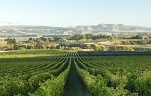 Winery Tours