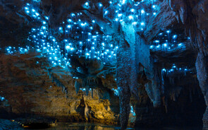 Private Cave Tours - Waitomo