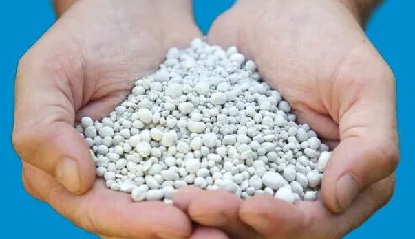 Fine-Particle Minerals: Small Size, Big Impact in a $10 Milk-Price Season