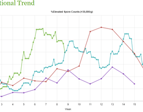 Staying Focused this Facial Eczema Season