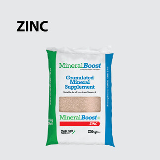 MineralBoost Zinc Product Bag