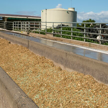 Farm Feedpad