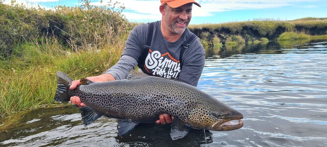 Trout Fishing Guide New Zealand